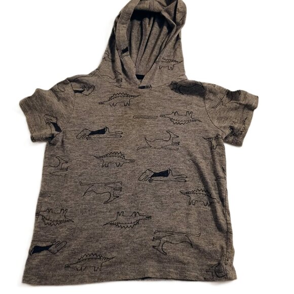 VGUC: Boys' Okie Dokie sz 3T Gray, Dinosaur Short-Sleeve Hoodie - Picture 1 of 3